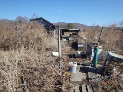 1. колонка, проход к летнему душу, погребу и большому огороду